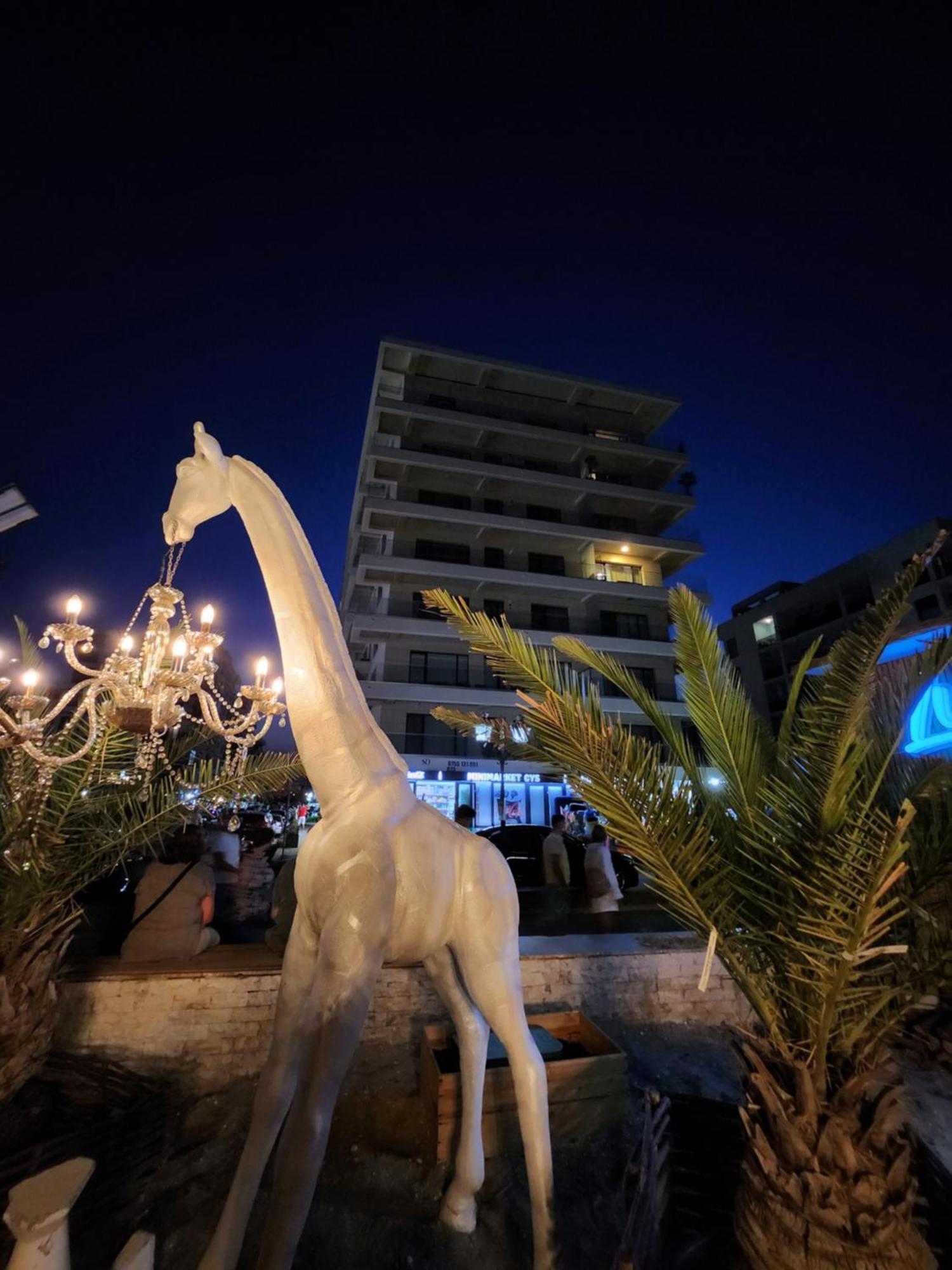 Seaside Amalia Apartament Navodari Ngoại thất bức ảnh